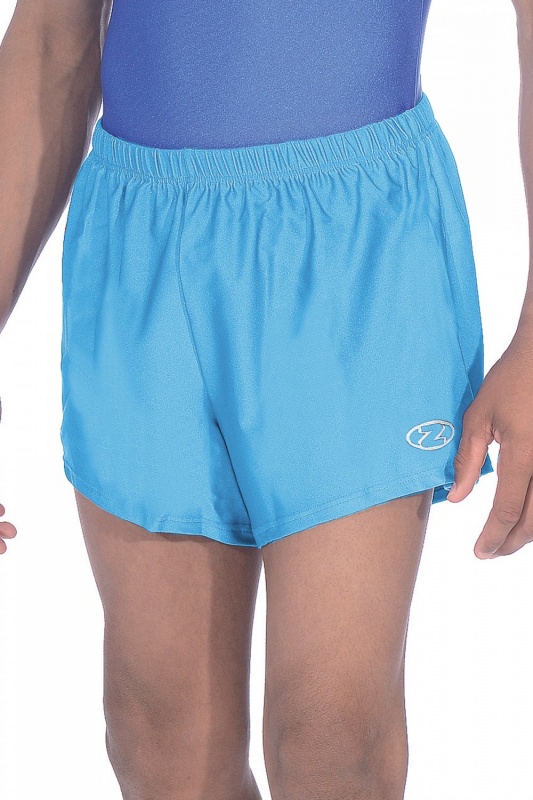 boys-mens-gymnastics-shiny-nylon-lycra-shorts-p1427-24112_image